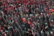 Foto: EPA/ABEDIN TAHERKENAREH