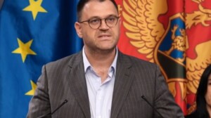 Mihailo Anđušić, Foto: Screenshot/DPS